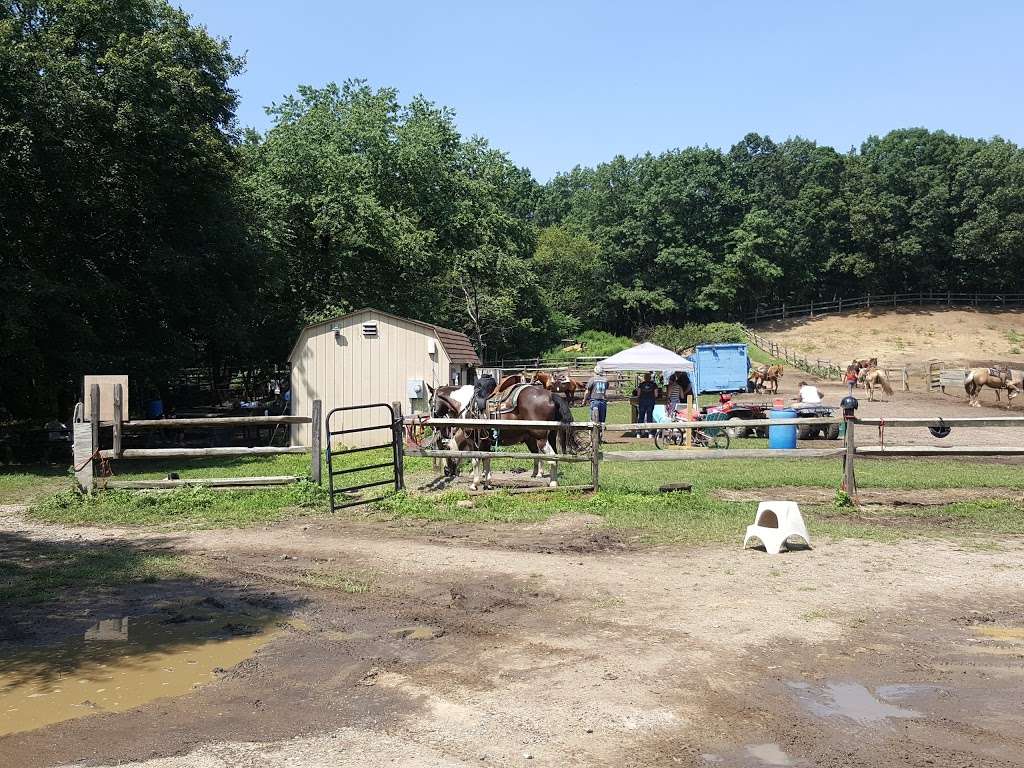 Legacy Riding Stables | 3333 Bordentown Ave, Parlin, NJ 08859 | Phone: (732) 727-3838