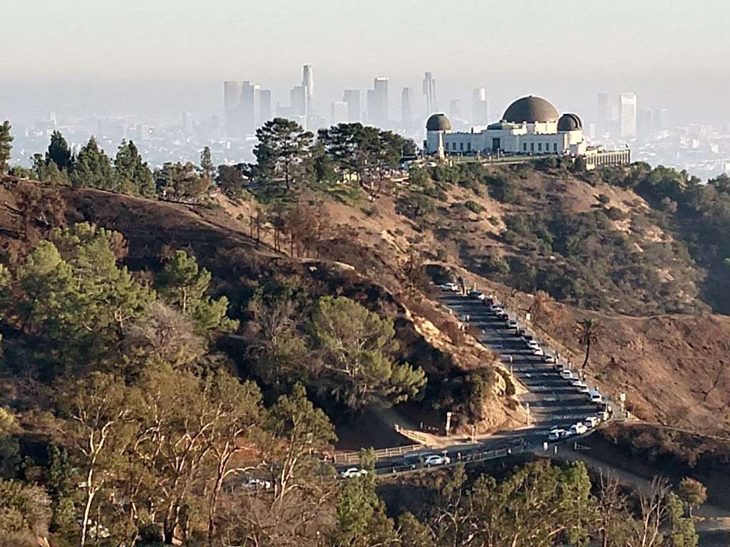 Griffith Park Observatory Trails Peak | 2715 N Vermont Ave, Los Angeles, CA 90027, USA