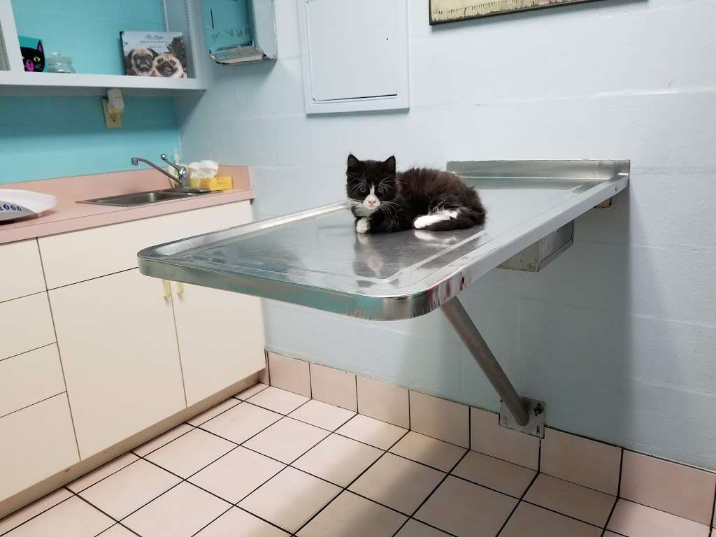 VCA Howell Branch Animal Hospital | 1401 Howell Branch Rd, Winter Park, FL 32789, USA | Phone: (407) 645-0779