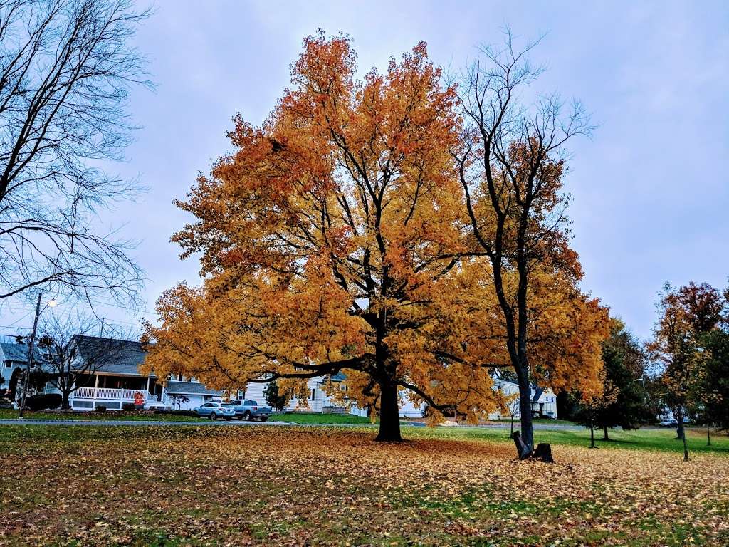 Rahway River Parkway - Mohawk Section | Mohawk Dr, Cranford, NJ 07016, USA