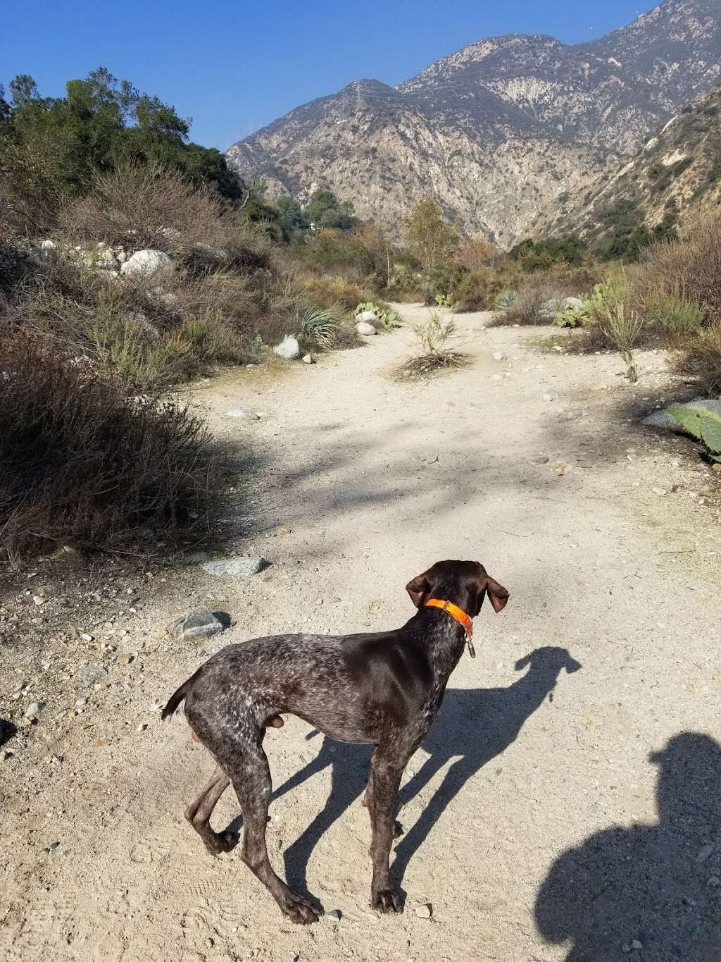 Walnut Canyon Trailhead | Unnamed Road, Pasadena, CA 91107, USA