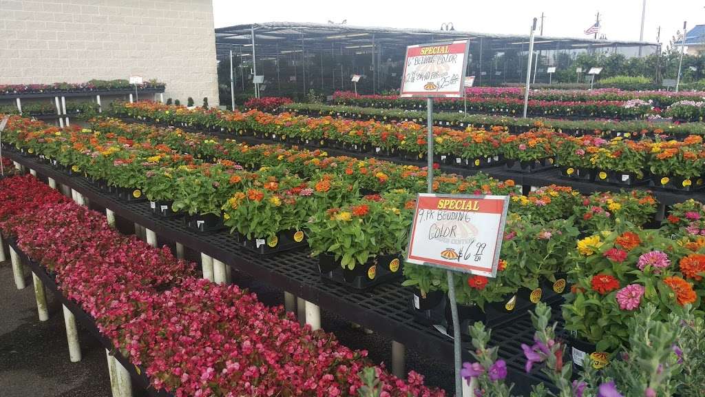 Houston Garden Centers | 20050 Gulf Fwy, Webster, TX 77598 | Phone: (281) 557-7399