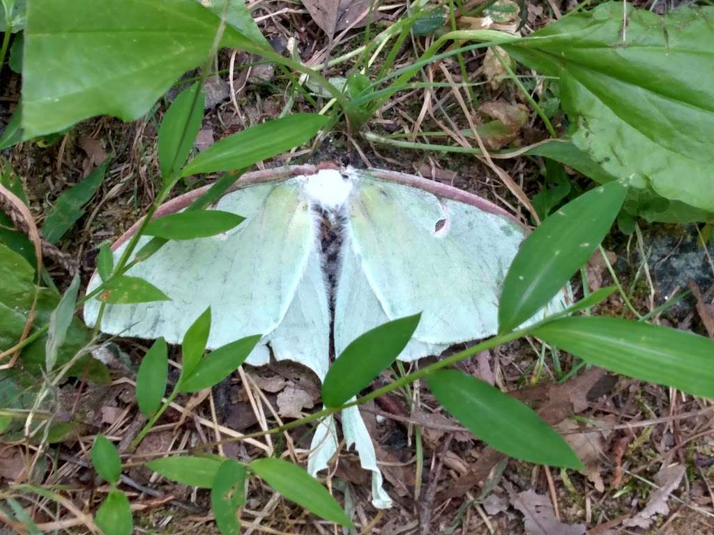 Parris N. Glendening Nature Preserve | 5702 Plummer Ln, Lothian, MD 20711, USA | Phone: (410) 741-9330