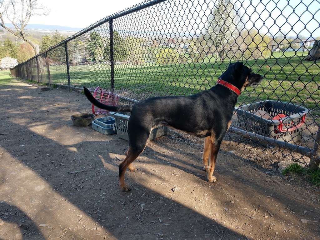 Nazareth Dog Park | Black Rock Rd, Nazareth, PA 18064, USA | Phone: (610) 759-3215