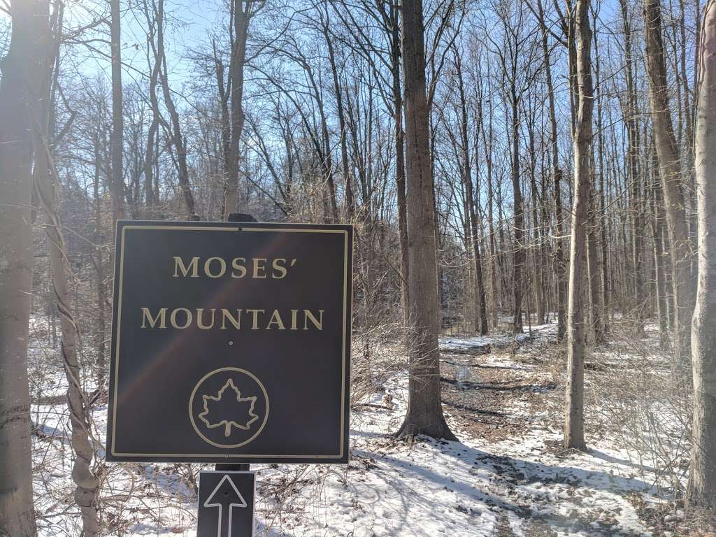 Moses Mountain | Unnamed Road, Staten Island, NY 10314, USA