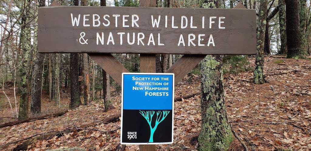 Webster Wildlife & Natural Area | Kingston, NH 03848