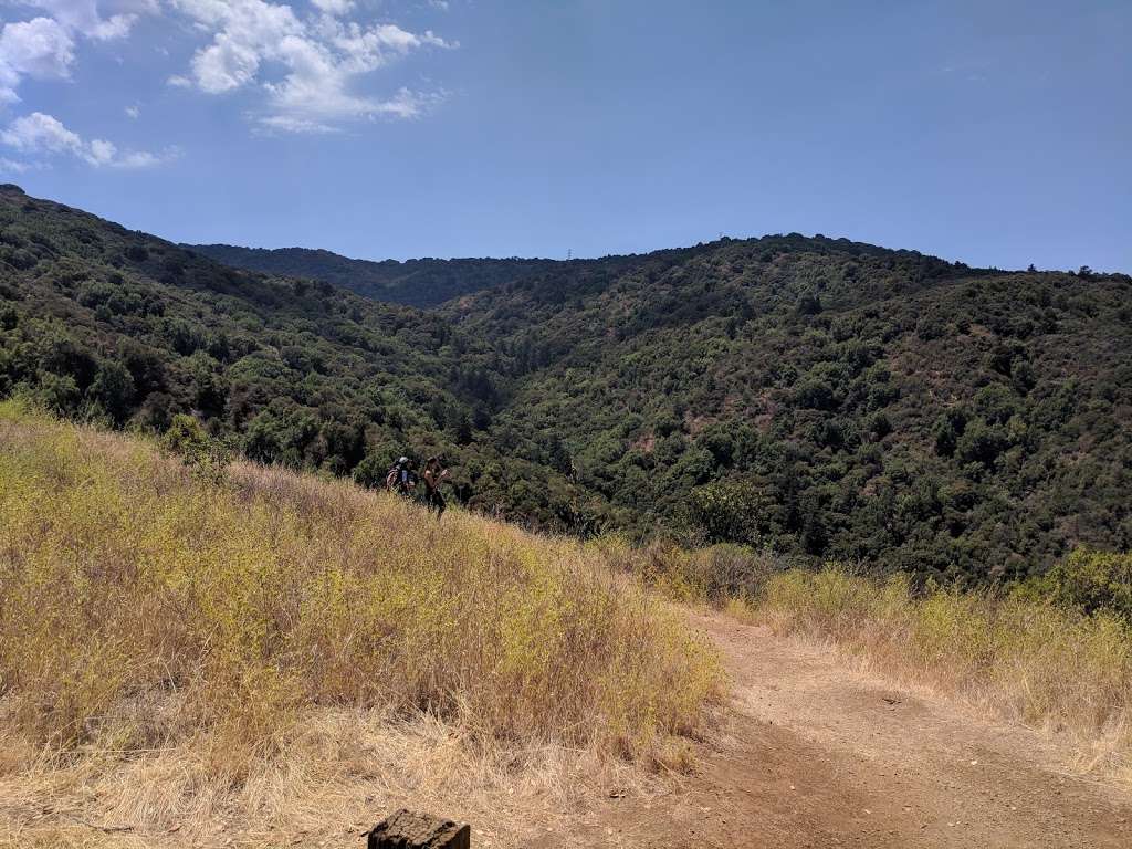 Rancho San Antonio open space preserve Ravensberry trailhead | Chamise Trail, Los Altos Hills, CA 94024, USA