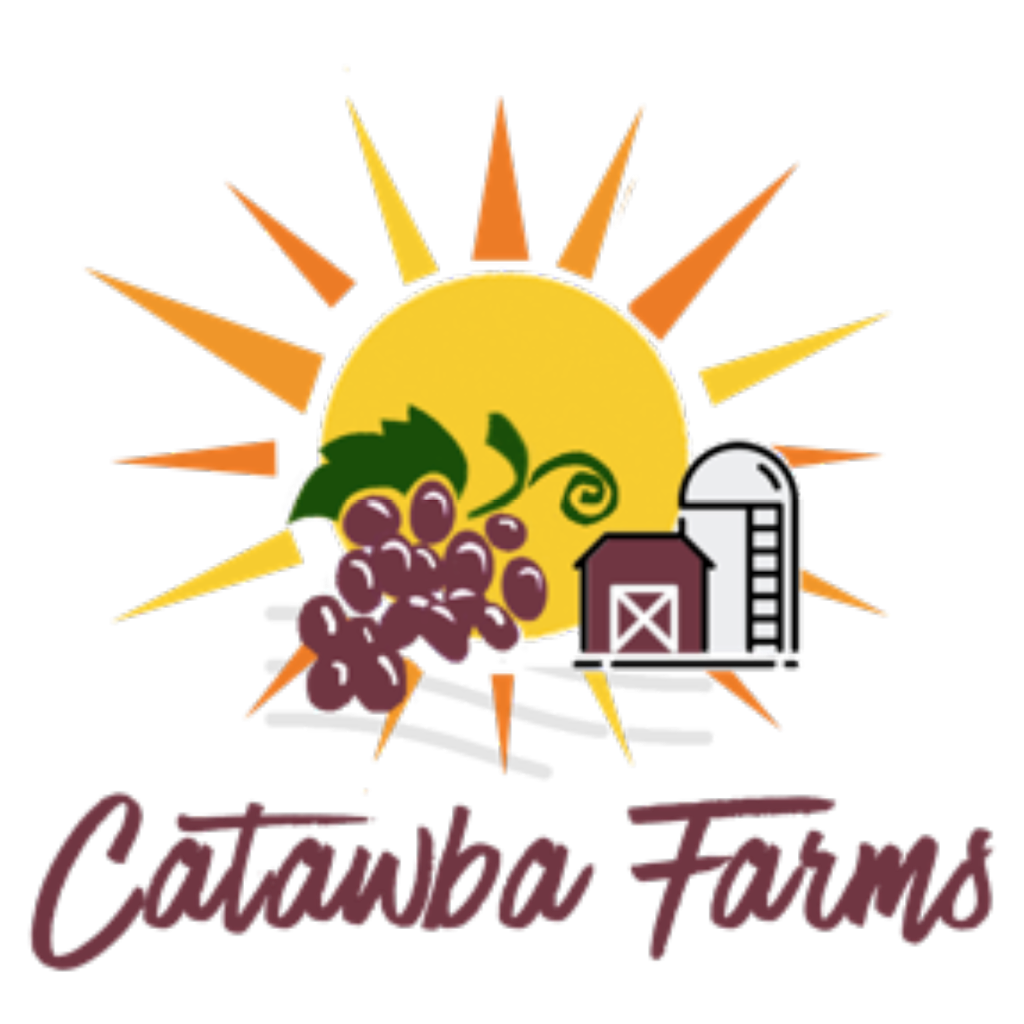 Sunflower Market at Catawba Farms | 400 Technibilt Dr, Newton, NC 28658 | Phone: (828) 464-5780