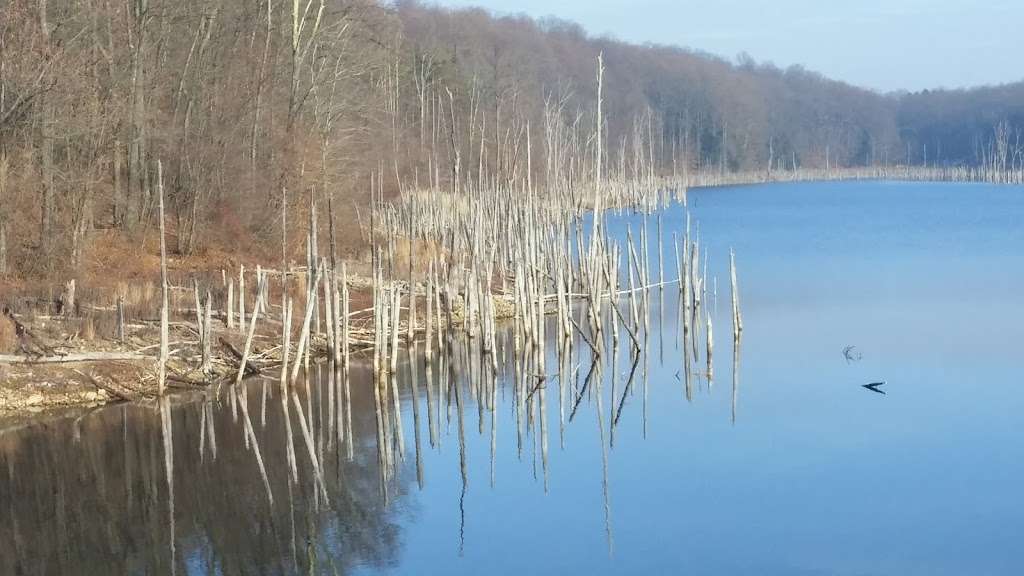 Merrill Creek Reservoir I/O tower | 200 Fox Farm Rd, Phillipsburg, NJ 08865, USA