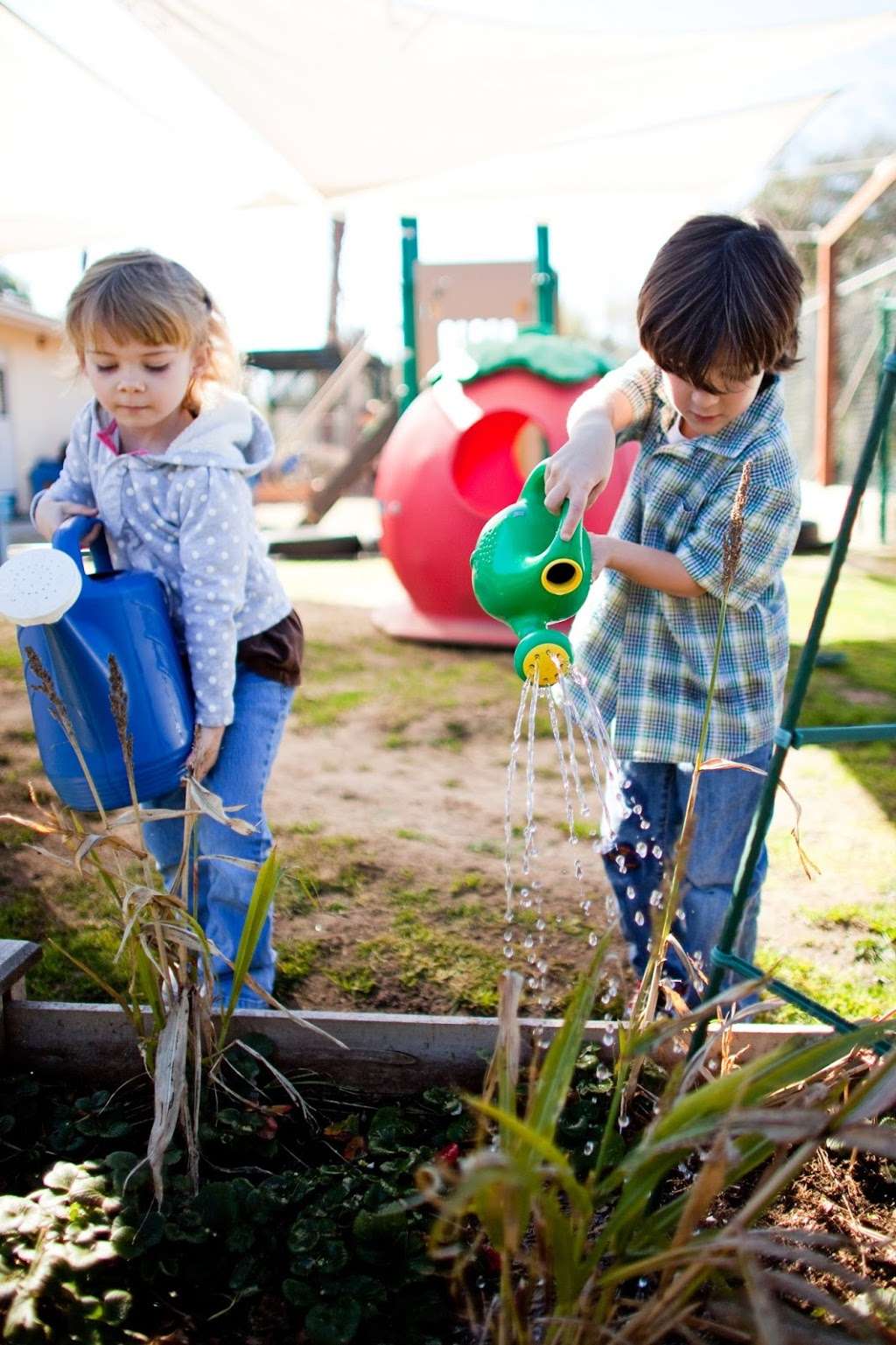 Growing Tree Academy Preschool and Childcare Center | 777 Taylor St, Vista, CA 92084, USA | Phone: (760) 945-9222