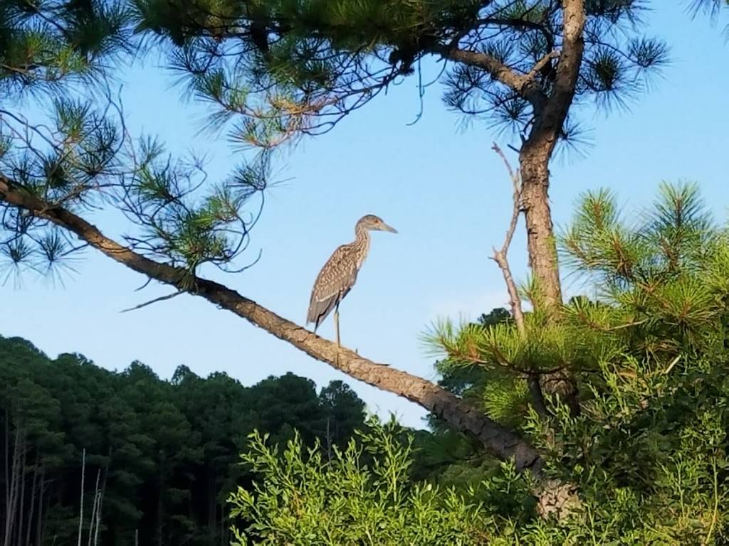 Little Creek JEB Campground | 2112 Amphibious Dr, Virginia Beach, VA 23459, USA | Phone: (757) 462-7282