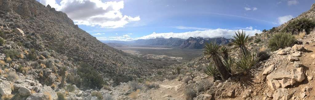 Turtlehead Peak Trailhead | Sandstone Quarry, Las Vegas, NV 89161