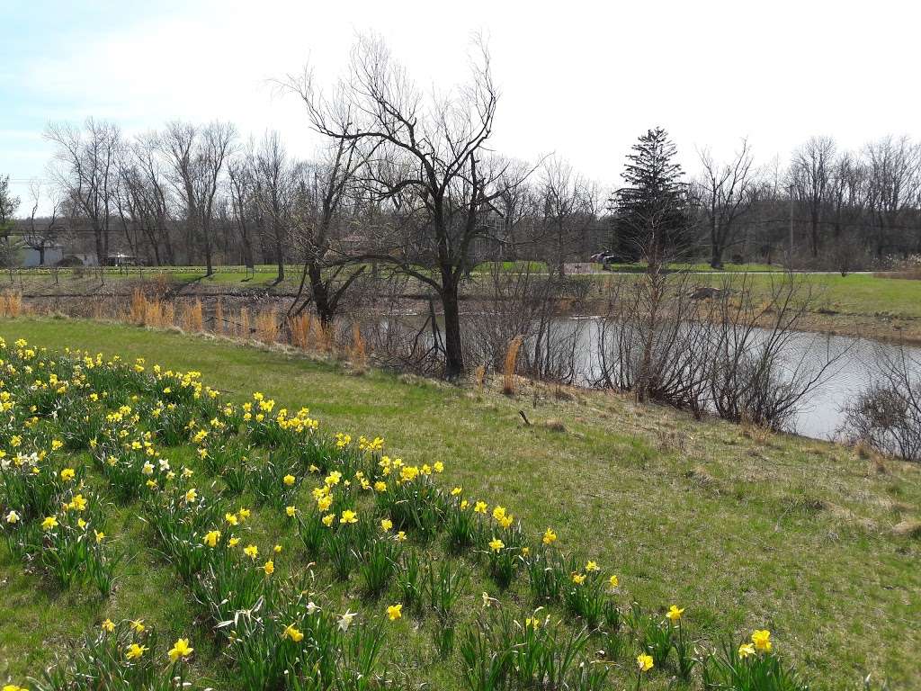 Central Park in 425 Wells Rd, Doylestown, PA 18901, USA