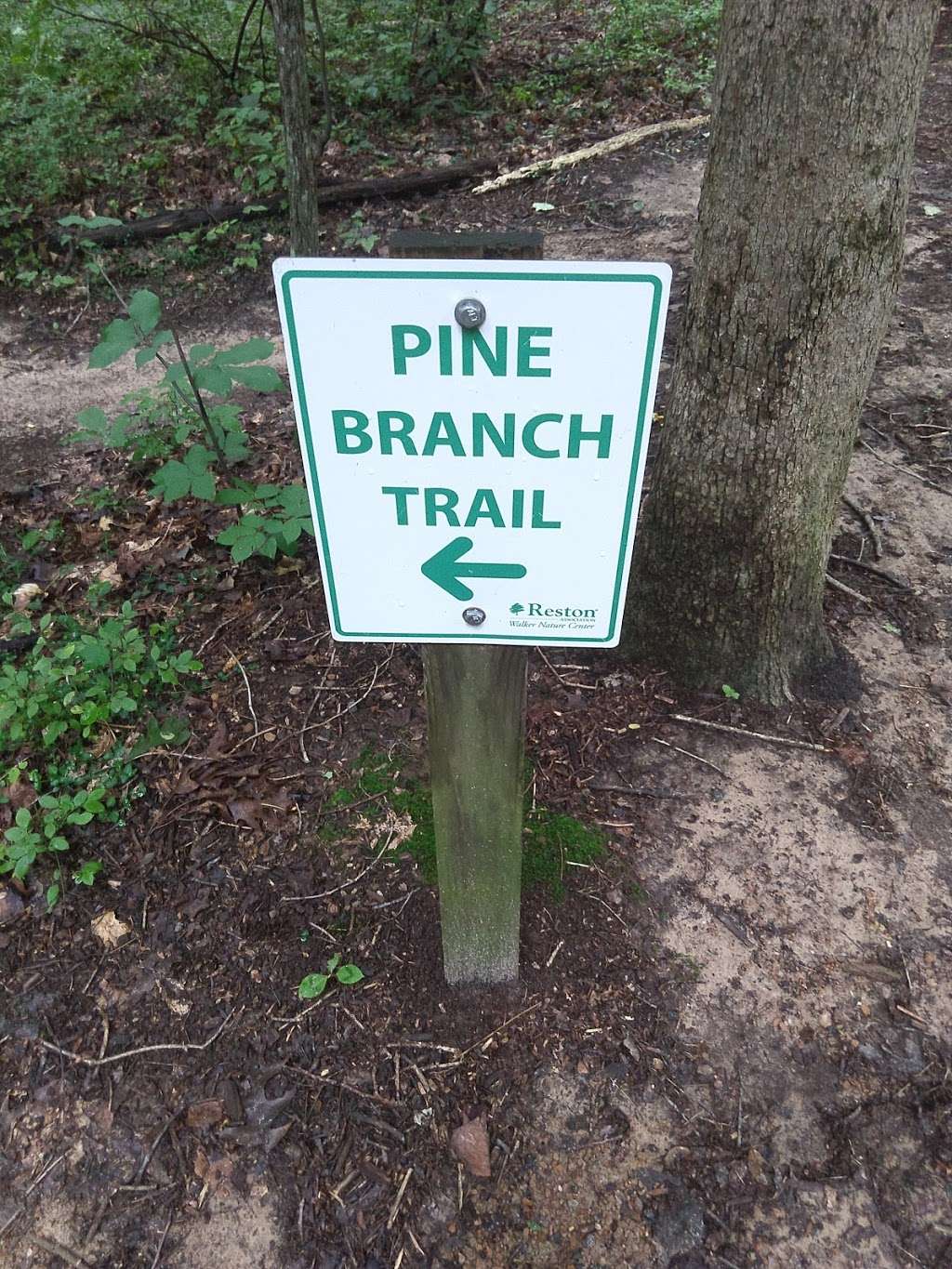 Pine Branch Trail | 0264 07010097, Reston, VA 20191