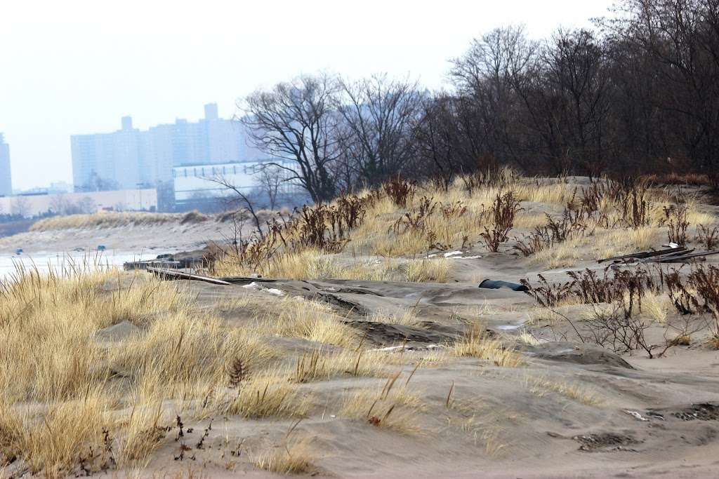 Coney Island Creek Park | Bayview Ave, Brooklyn, NY 11224, USA