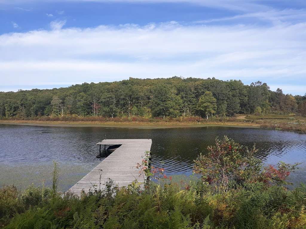 Cobey Pond Trail | Hawley, PA 18428, USA