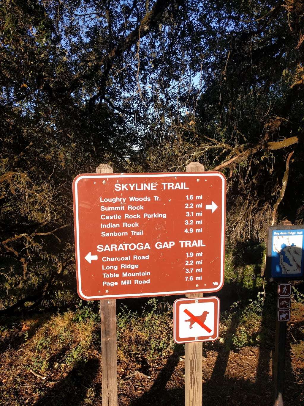 Saratoga Gap Open Space Preserve | 28798 Big Basin Way, Los Gatos, CA 95033, USA | Phone: (650) 691-1200