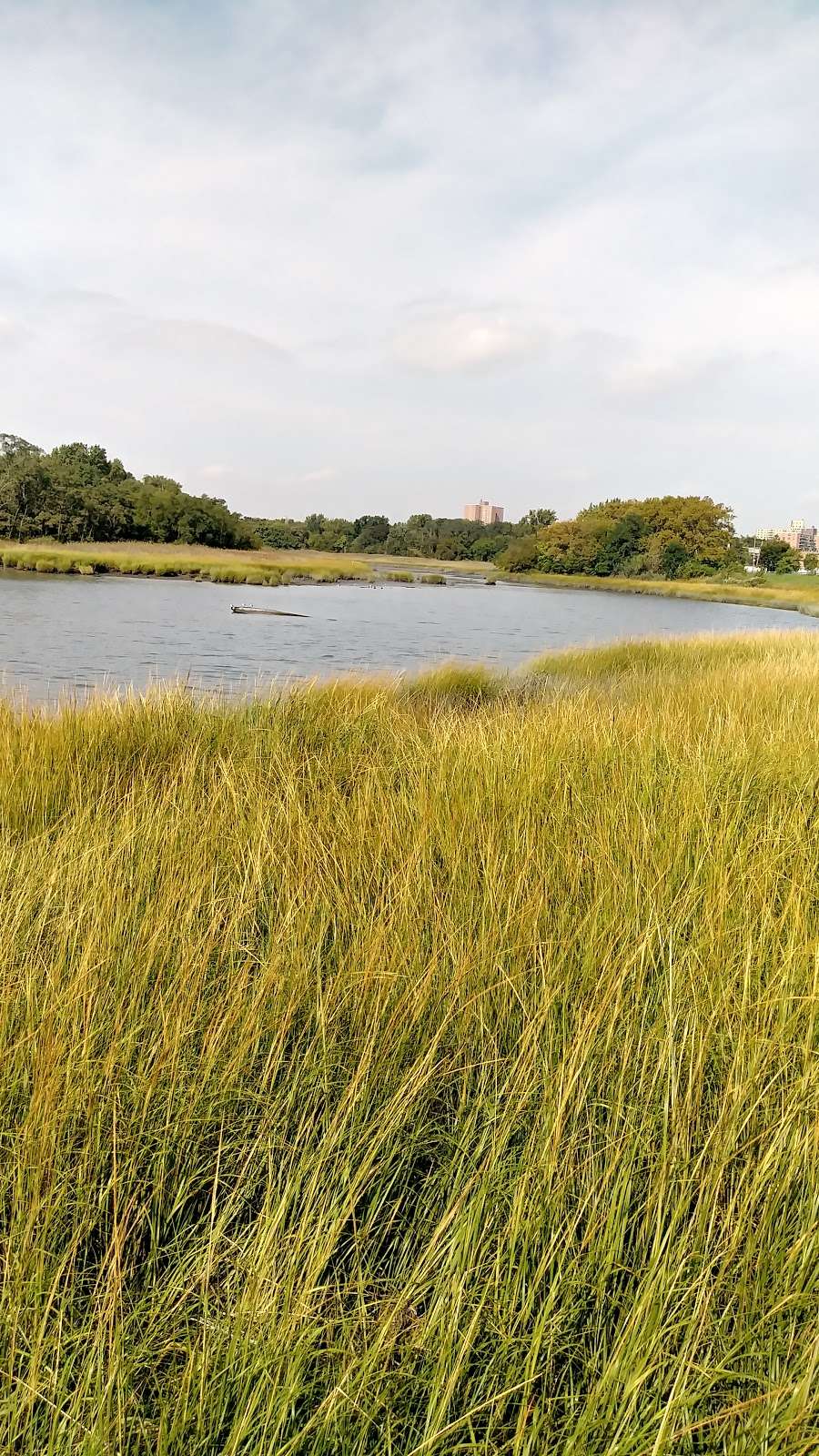 Castle Hill Park | Barrett Ave. &, Howe Ave, Bronx, NY 10473, USA