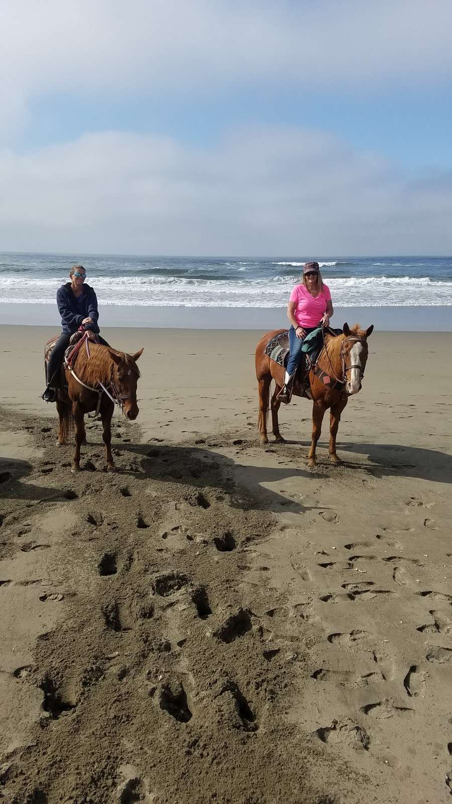 Horse N Around Trail Rides | 18797 CA-1, Bodega Bay, CA 94923, USA | Phone: (707) 875-3333