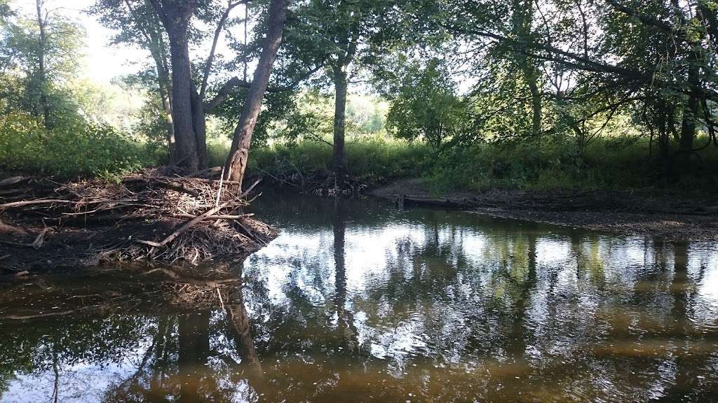 St. Catherines Trout Ponds | 5021-5083 4 Mile Rd, Racine, WI 53402, USA