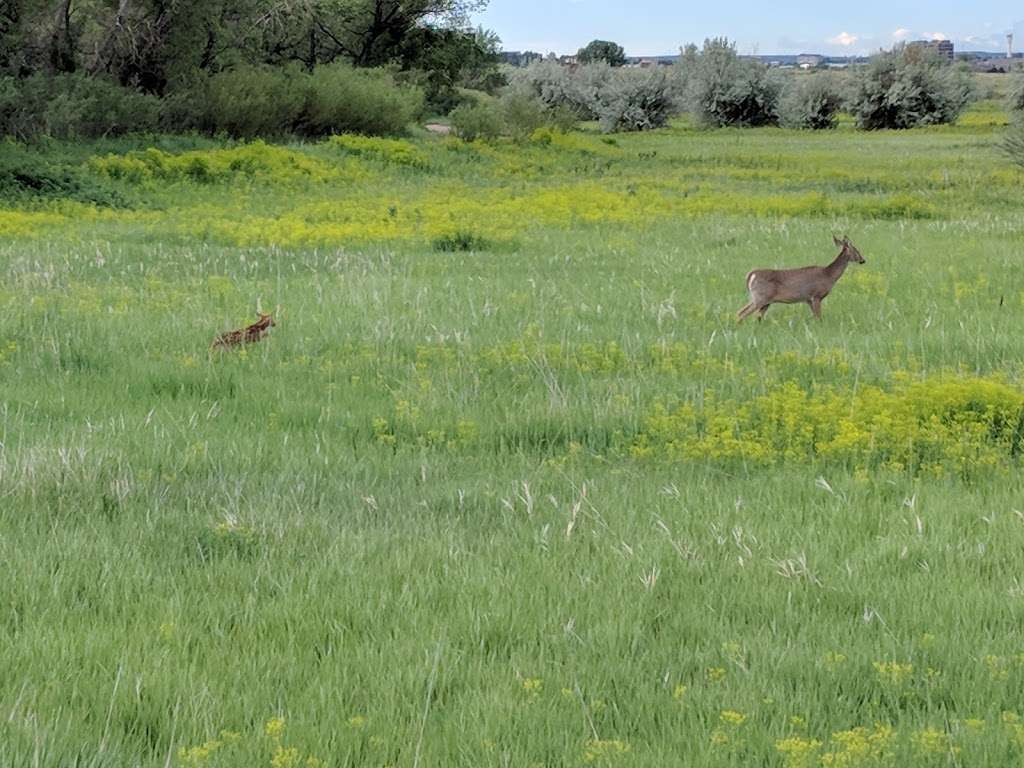 Cherry Creek State Park | 4201 S Parker Rd, Aurora, CO 80014 | Phone: (303) 690-1166