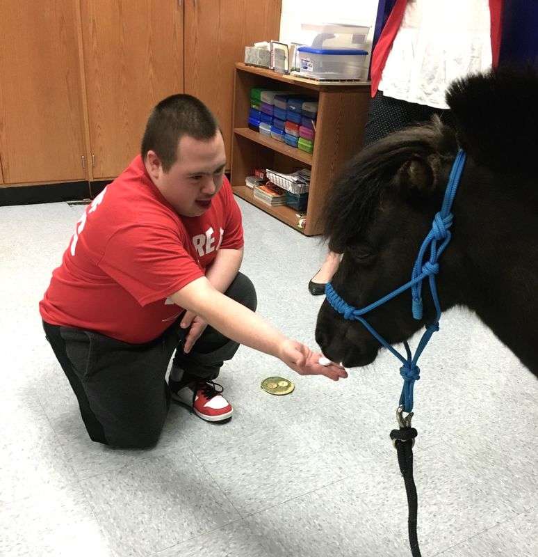 Project Horse Empowerment Center | 18915 Lincoln Road, (drive down hill, BARN on right), Purcellville, VA 20132 | Phone: (703) 517-6964