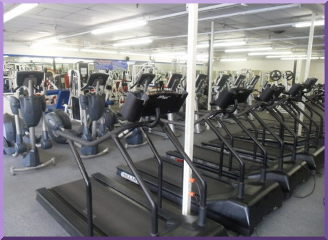 Living Fit Club | 118 Carroll Island Rd, Middle River, MD 21220, USA | Phone: (800) 873-9617