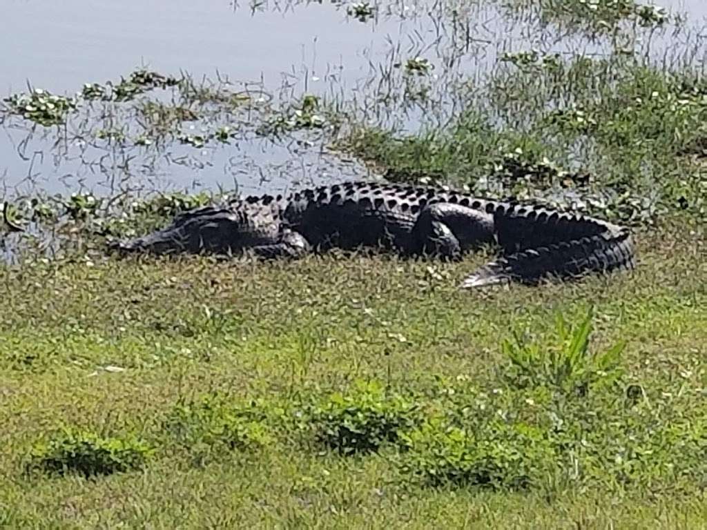 Seven Wetlands | Bartow, FL 33830, USA