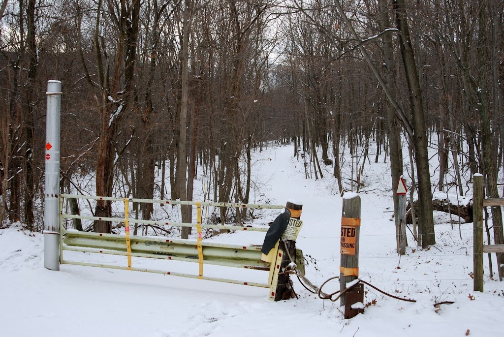 Indian Springs Wildlife Demonstration Area | Big Pool, MD 21711