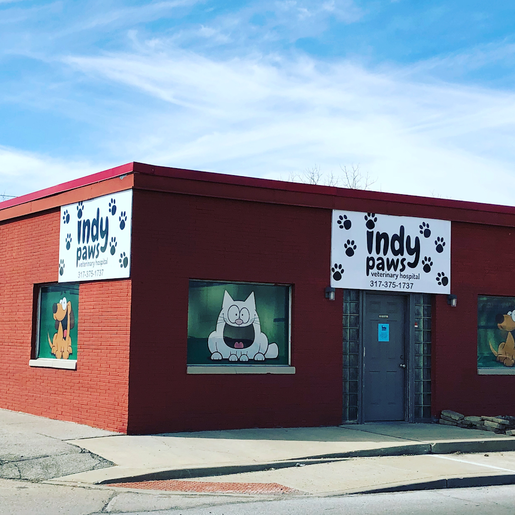 Indy Paws Veterinary Hospital | 1502 N Emerson Ave, Indianapolis, IN 46219, USA | Phone: (317) 375-1737