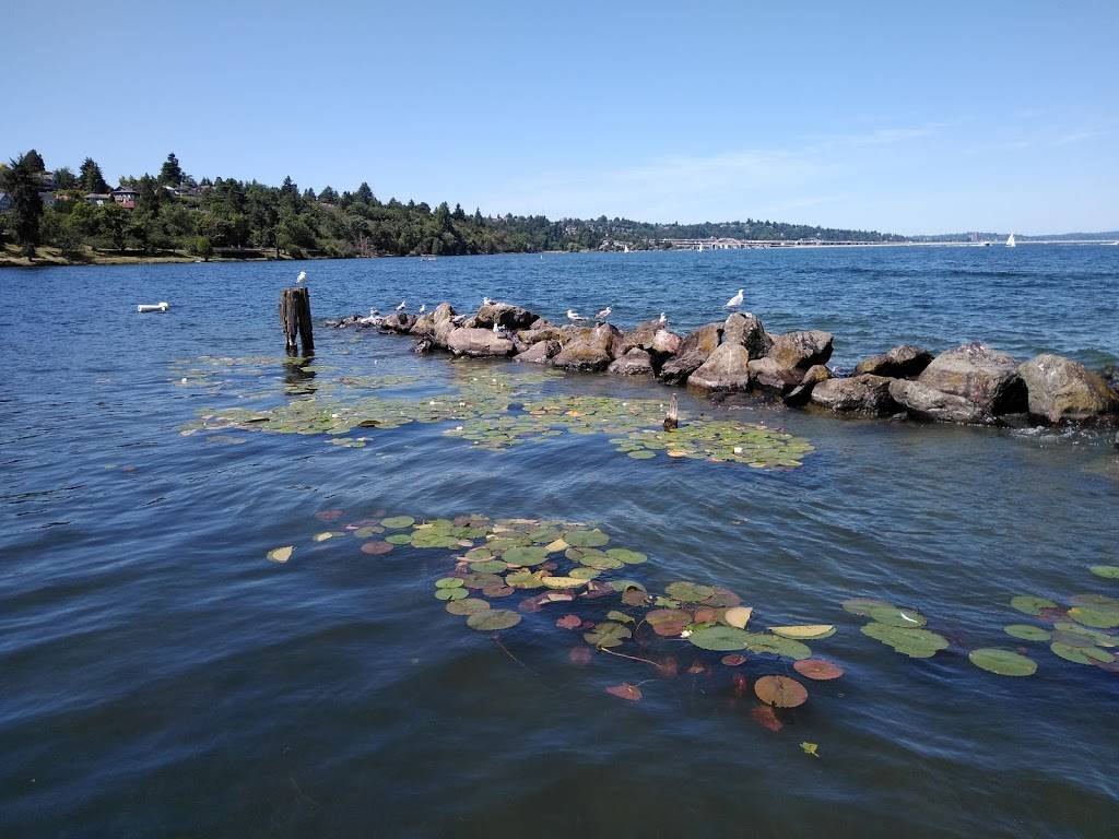 Stan Sayres Memorial Park & Boat Launch | 3808 Lake Washington Blvd S, Seattle, WA 98118, USA | Phone: (206) 684-4075