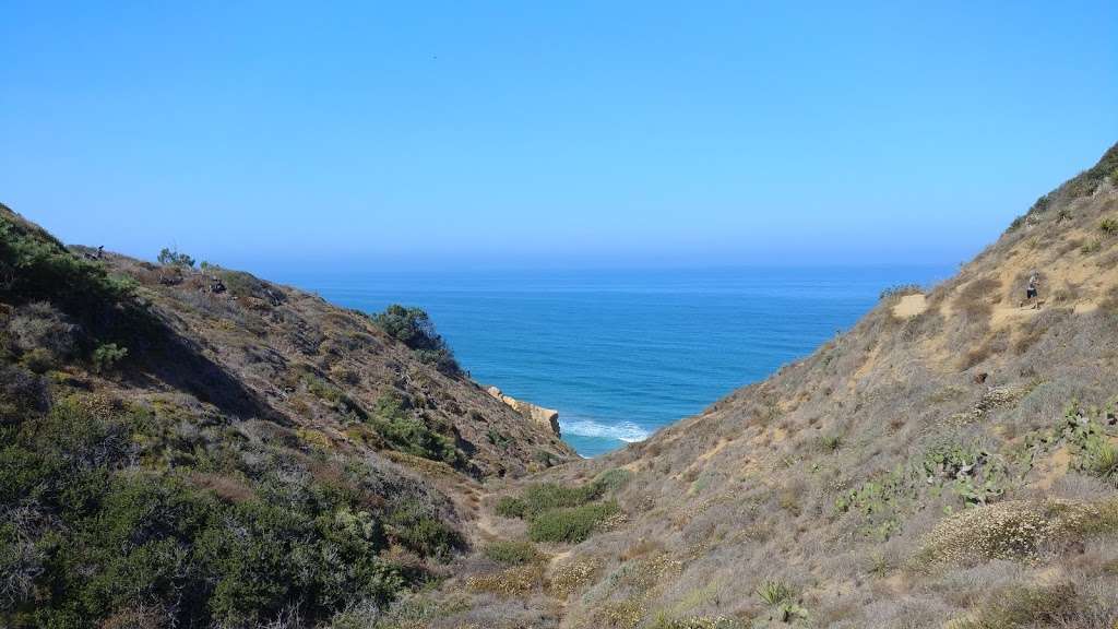 Torrey Pines Reserve Lodge and Visitor Center | N Torrey Pines Rd, La Jolla, CA 92037, USA | Phone: (858) 755-2063