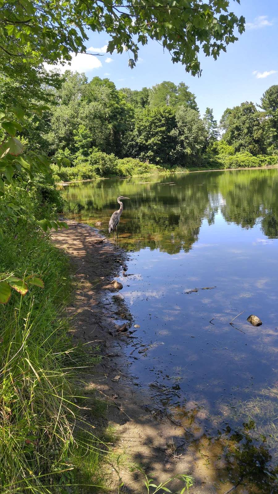 Black River Park Parking Lot | Main St, Succasunna, NJ 07876