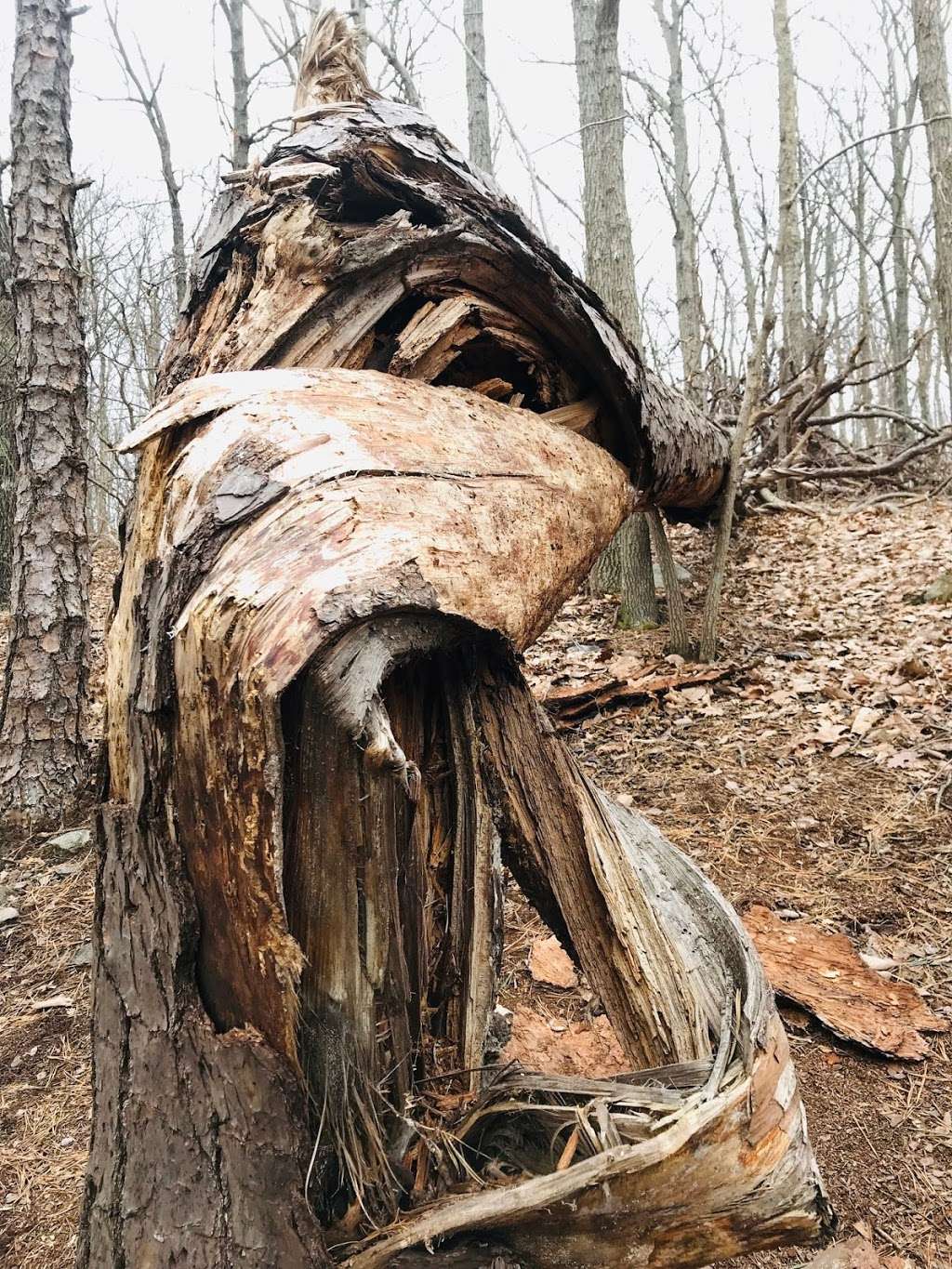 Raven Rocks Trailhead | Bluemont, VA 20135