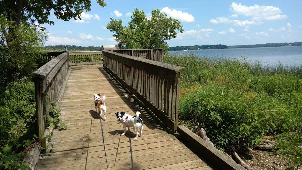 Belle Haven Park, Virginia | Alexandria, VA 22307, USA