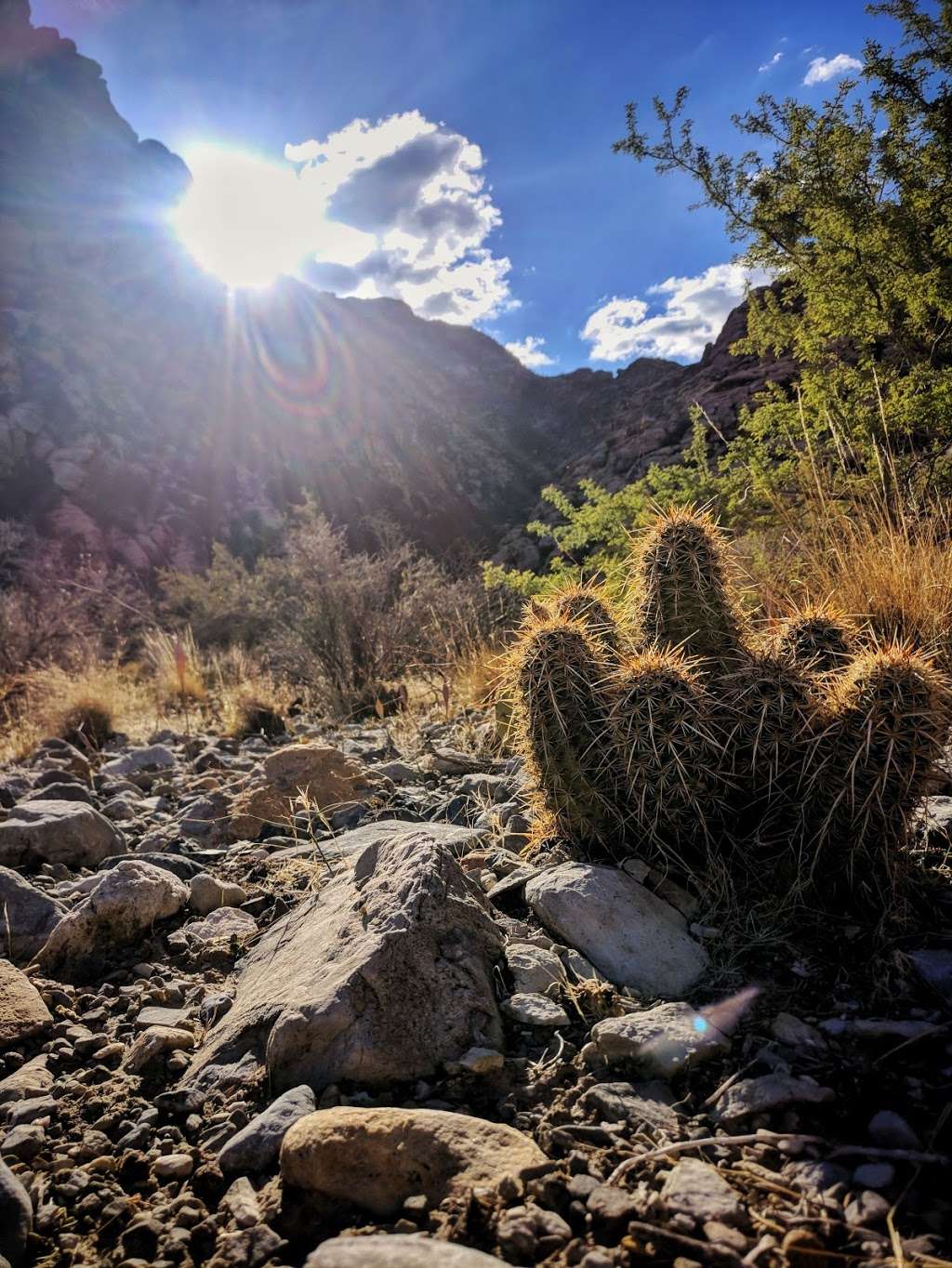 Petroglyph Wall Trail trailhead | Rock Art Trail, Las Vegas, NV 89161, USA