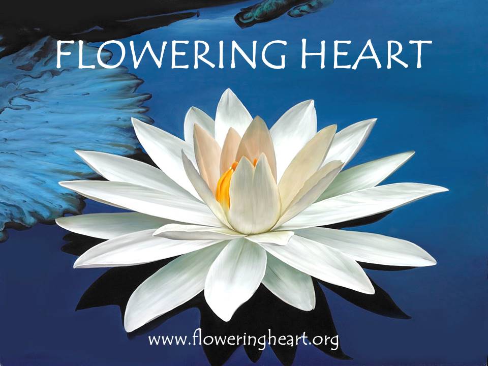 FLOWERING HEART CENTER - Clearwater, Florida | 300 Feather Tree Dr, Clearwater, FL 33765 | Phone: (727) 686-3912
