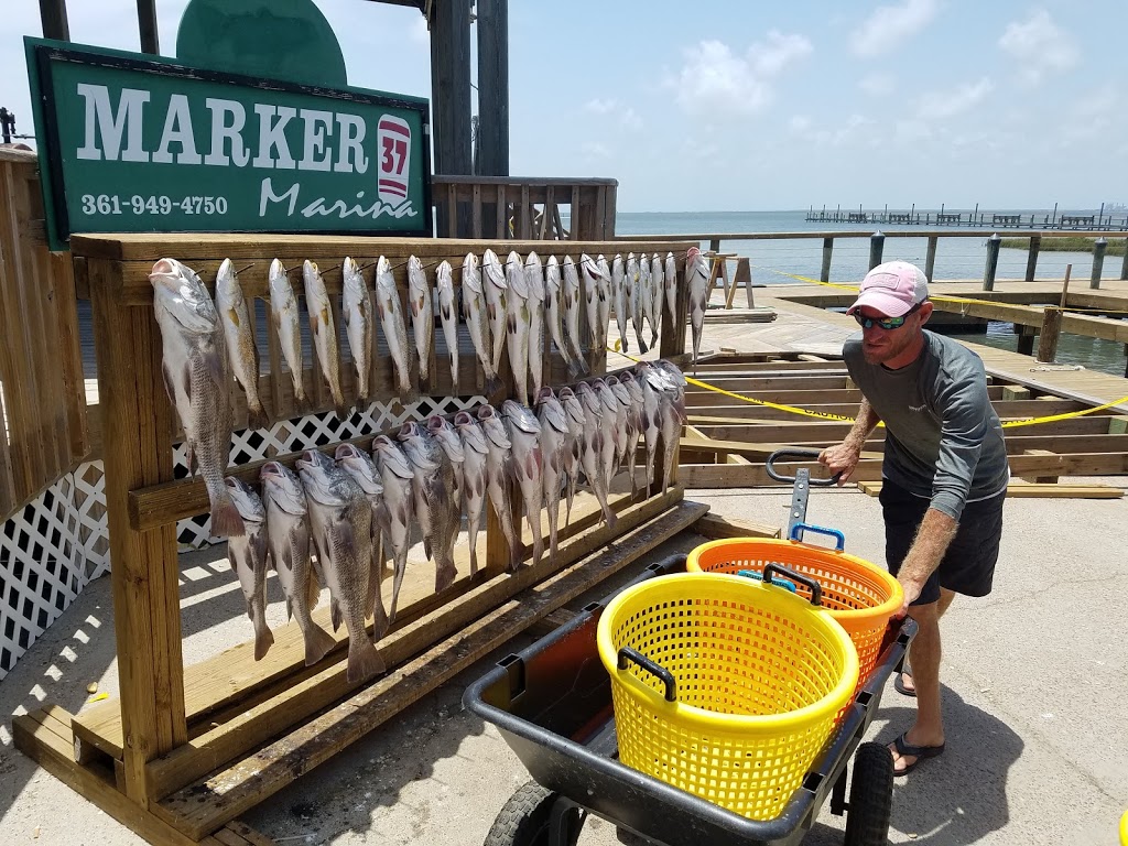 Marker 37 Marina | 13317 S Padre Island Dr, Corpus Christi, TX 78418, USA | Phone: (361) 949-4750