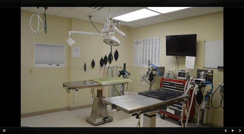 St. Francis of Assisi Veterinary Medical Center | 8615 Potranco Rd, San Antonio, TX 78251, USA | Phone: (210) 509-8500