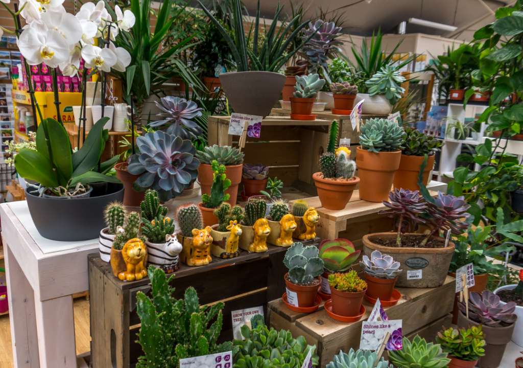 Vanstone Park Garden Centre | Hitchin Road Codicote, Hitchin, Codicote, Hitchin SG4 8TH, UK | Phone: 01438 820412