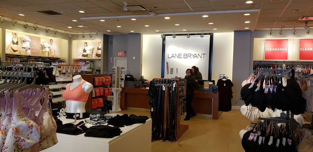 Lane Bryant | 3670 McKinley Pkwy Suite 6, Buffalo, NY 14219 | Phone: (716) 262-3078