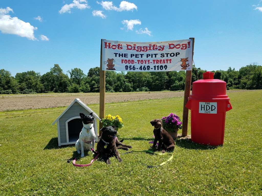 Hot Diggity Dog! | 425 Salina Rd, Sewell, NJ 08080, USA | Phone: (856) 468-1109