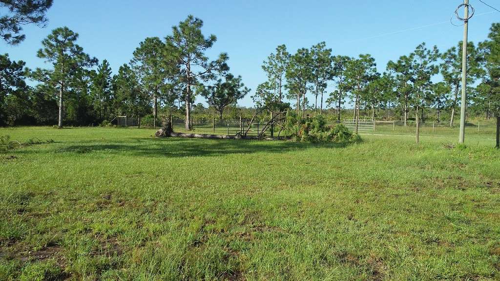 Bull Creek Wildlife Management Area | St Cloud, FL 34773, USA | Phone: (850) 488-3831