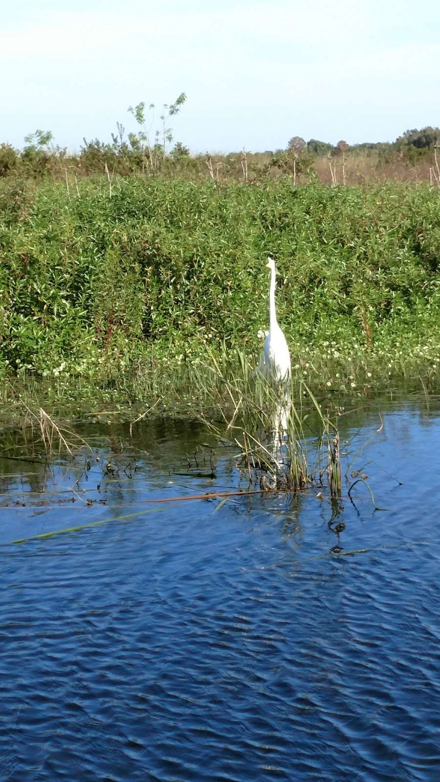 Wild Willys Airboat Tours | 4715 Kissimmee Park Rd, St Cloud, FL 34772, USA | Phone: (407) 891-7955