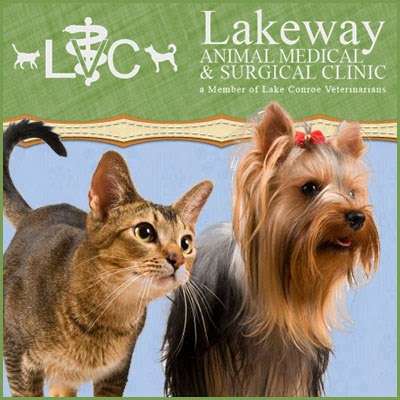 Lakeway Animal Medical and Surgical Clinic | 9571 FM 1097, Willis, TX 77318 | Phone: (936) 856-0200