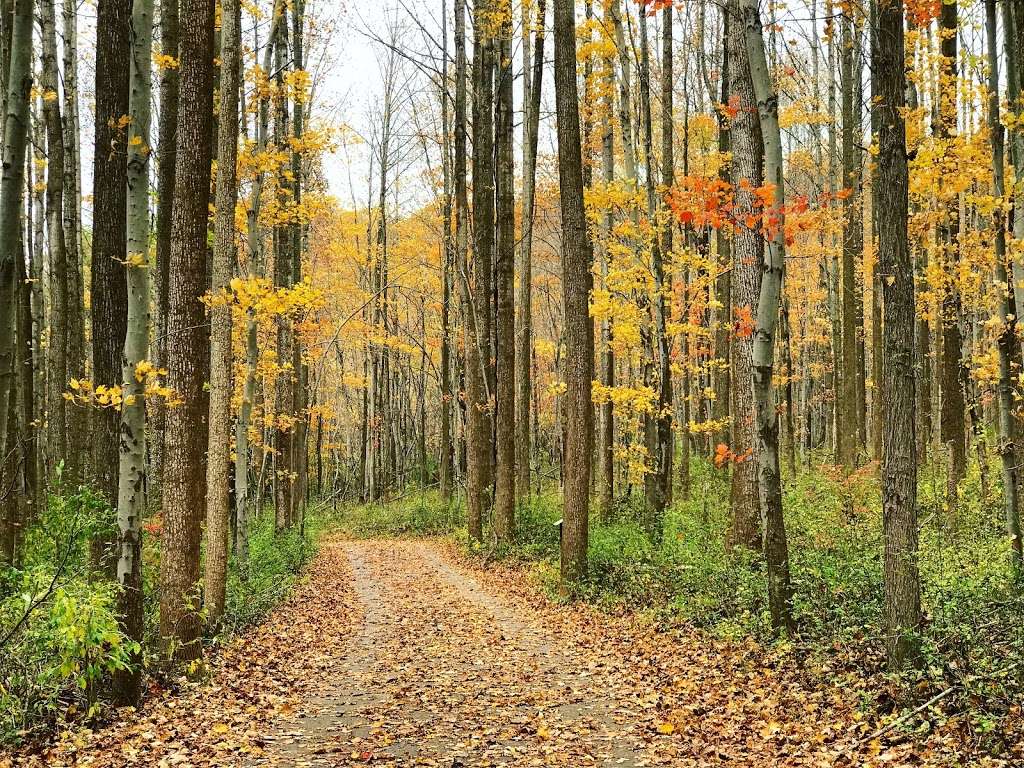 Centennial Park | 10000 Clarksville Pike, Ellicott City, MD 21042, USA | Phone: (410) 313-7256