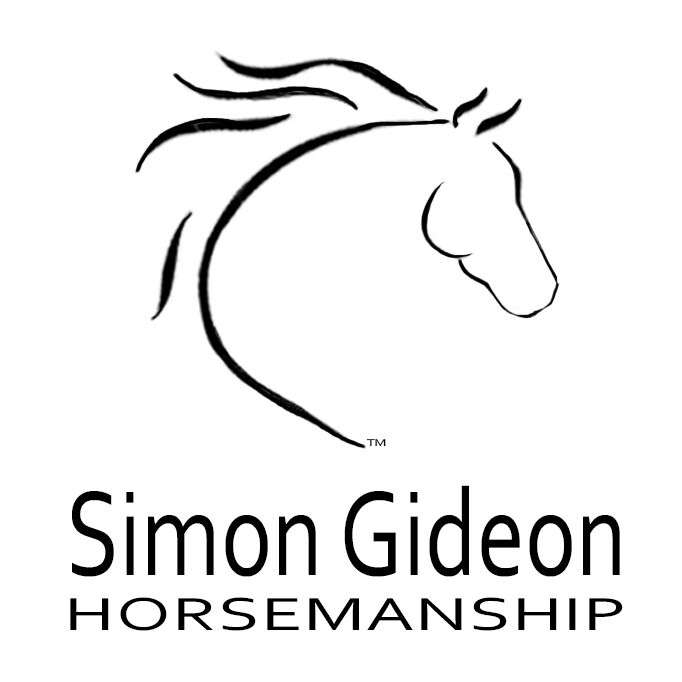 Simon Gideon Horsemanship | 10813 Spring Rd, Garden Prairie, IL 61038 | Phone: (815) 354-5964