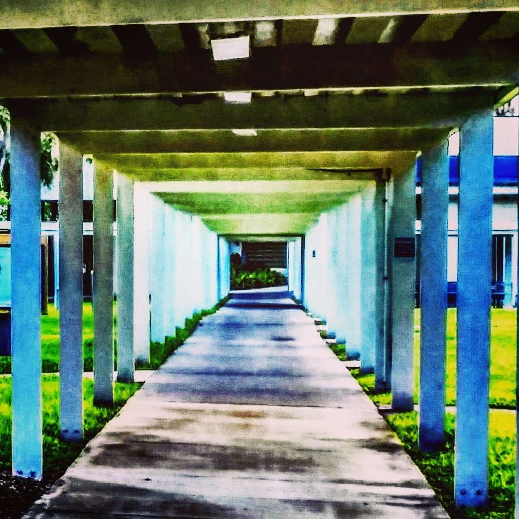 FIU Biscayne Bay Campus in 3000 NE 151st St, North Miami, FL 33181, USA