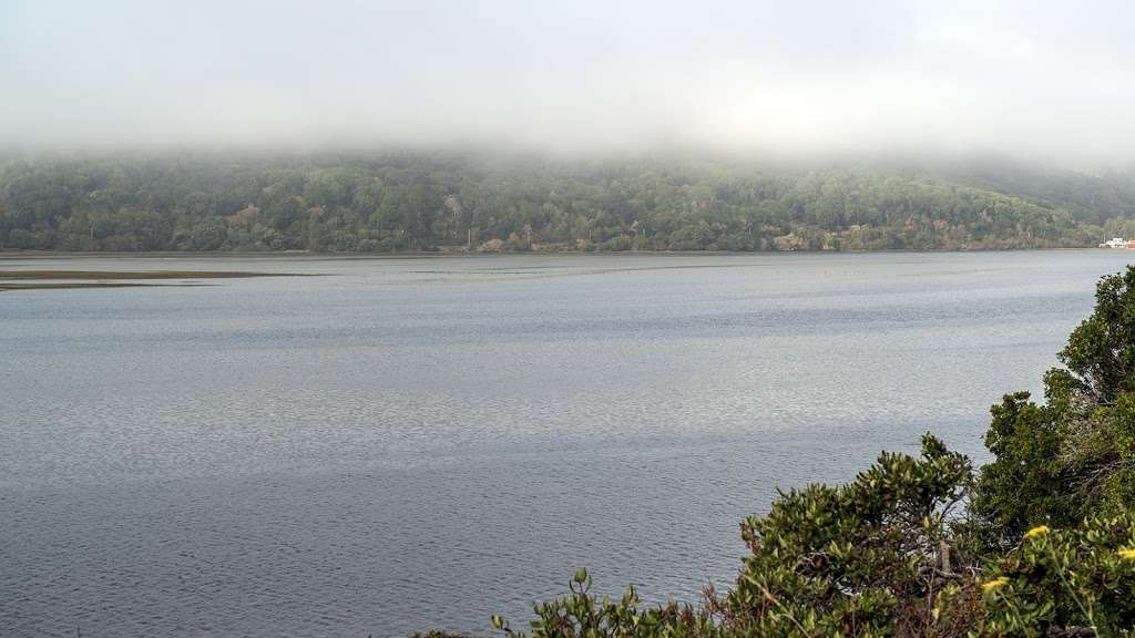 Tomales Bay Ecological Reserve | Point Reyes Station, CA 94956