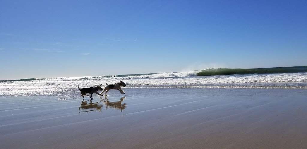 North Bluff Preserve | Del Mar, CA 92014, USA